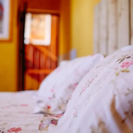 Le Poujastou ベッド・アンド・ブレックファスト Juzet-de-Luchon