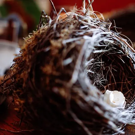 ベッド・アンド・ブレックファスト Le Poujastou Juzet-de-Luchon