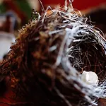 Alojamento de Acomodação e Pequeno-almoço Le Poujastou Juzet-de-Luchon