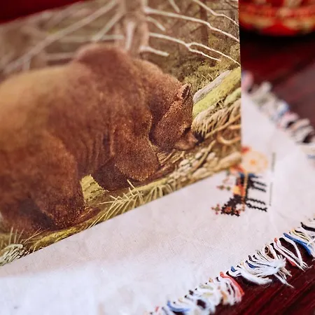 勒普杰斯塔旅馆 3*