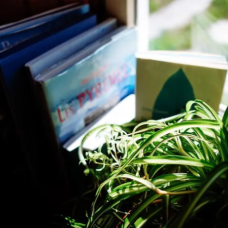 勒普杰斯塔旅馆 3*